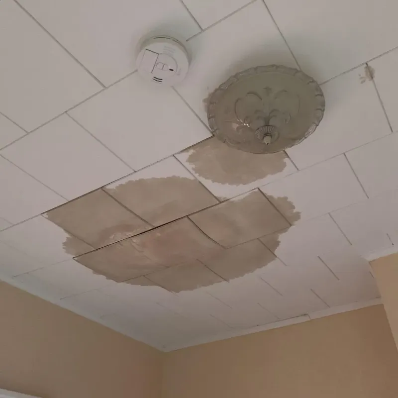 Ceiling Water Damage Repair in Hampton, NH