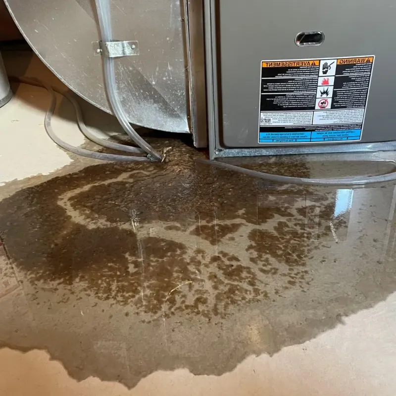 Pipe Burst and Leak Restoration in Hampton, NH